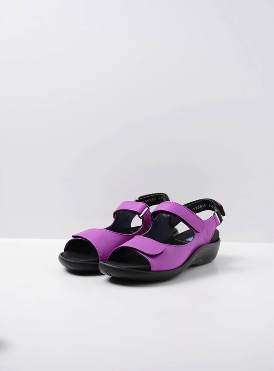 Salvia fuchsia leather